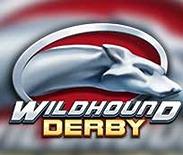 Wildhound Derby